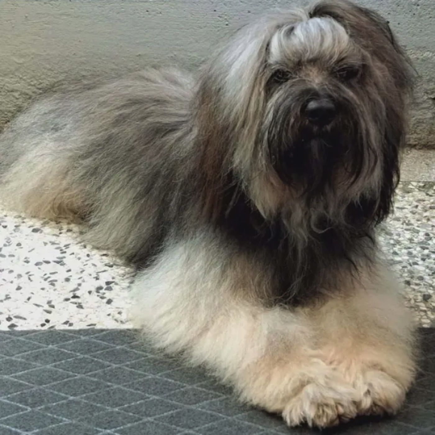 Ketu